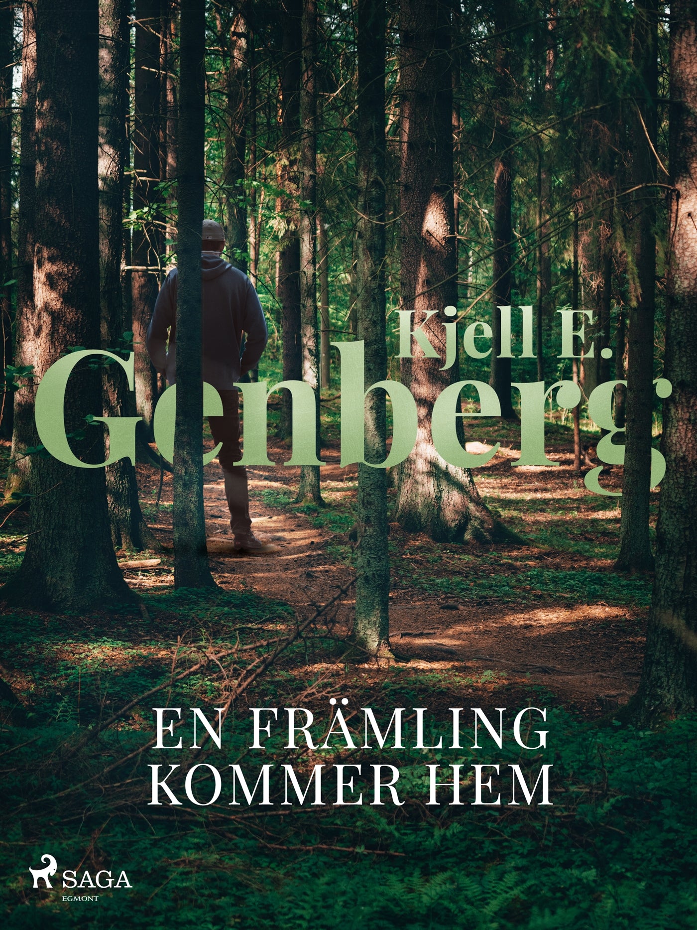 En främling kommer hem – E-bok