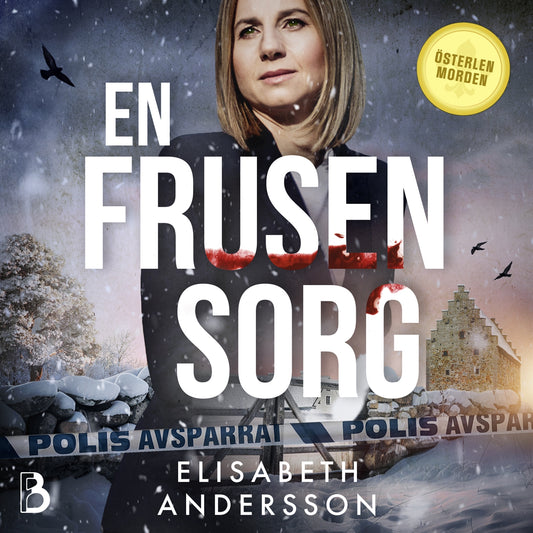 En frusen sorg – Ljudbok