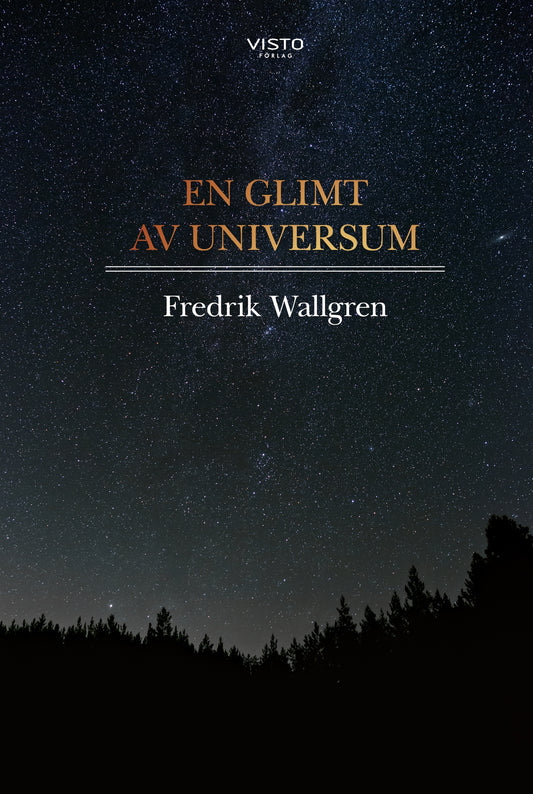 En glimt av universum – E-bok