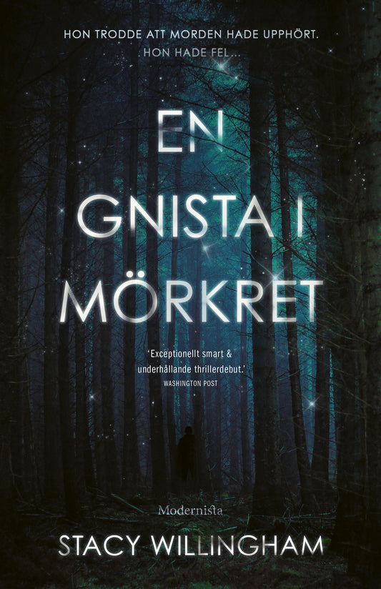 En gnista i mörkret – E-bok