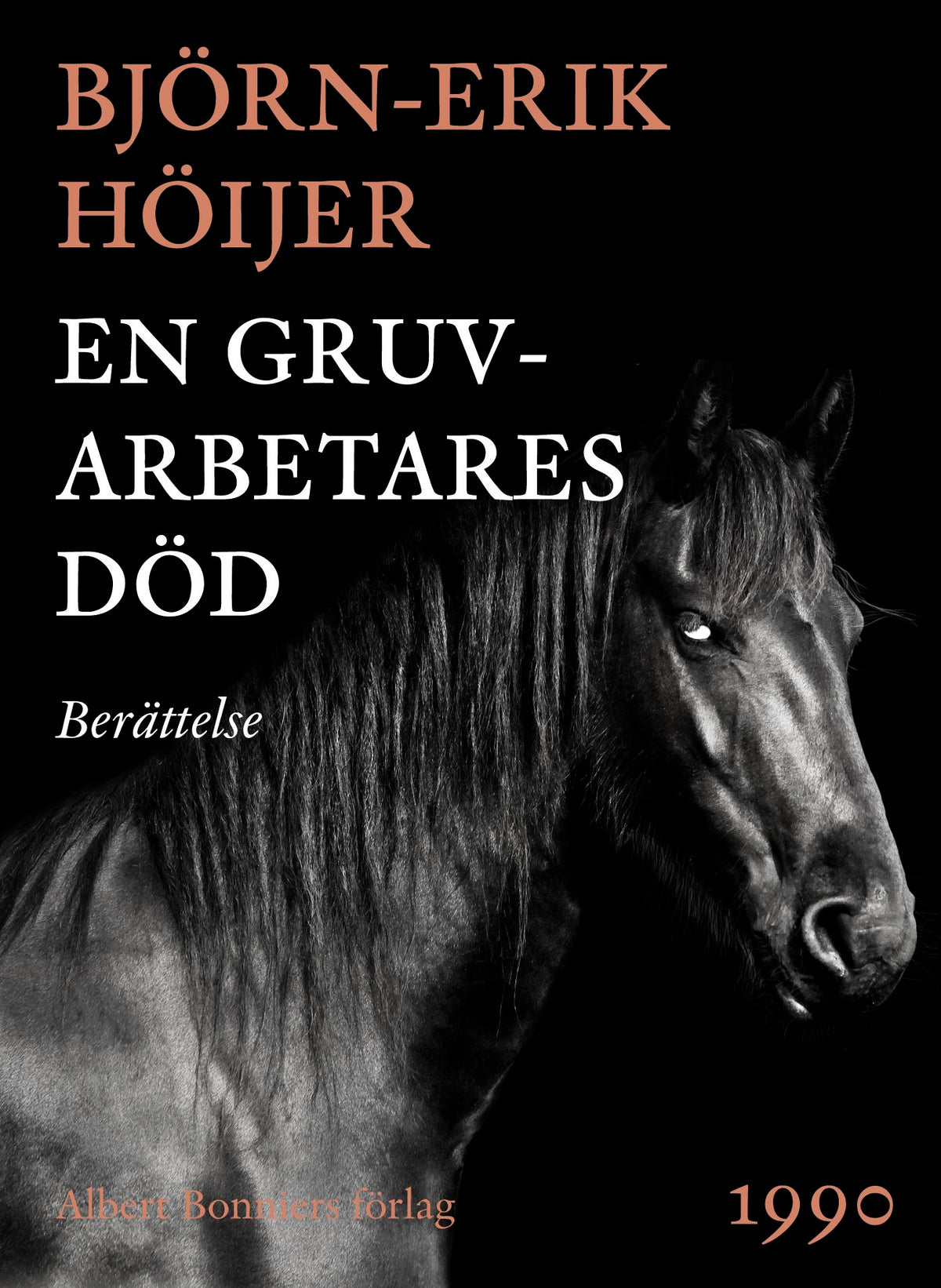 En gruvarbetares död : berättelse – E-bok