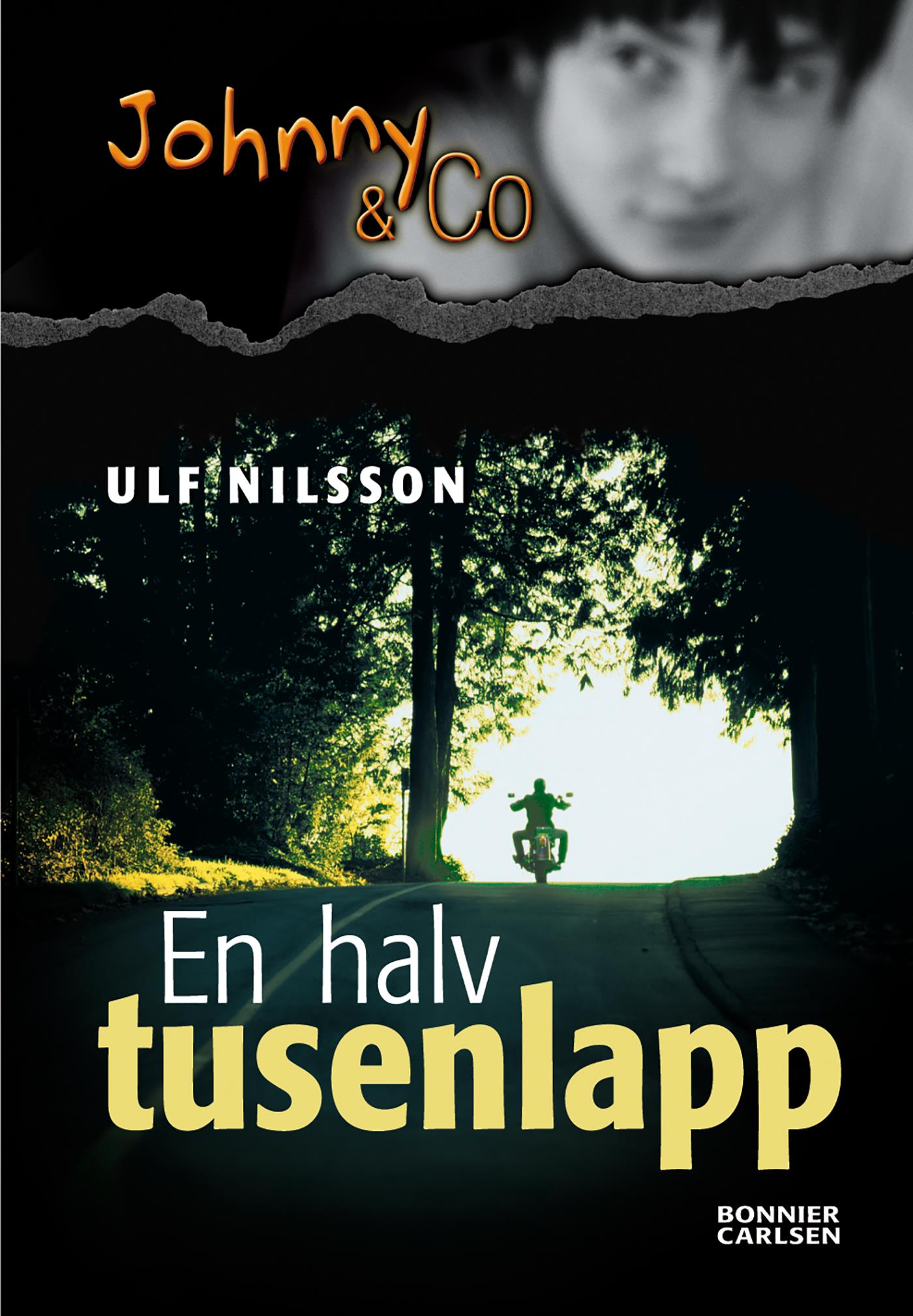 En halv tusenlapp – E-bok