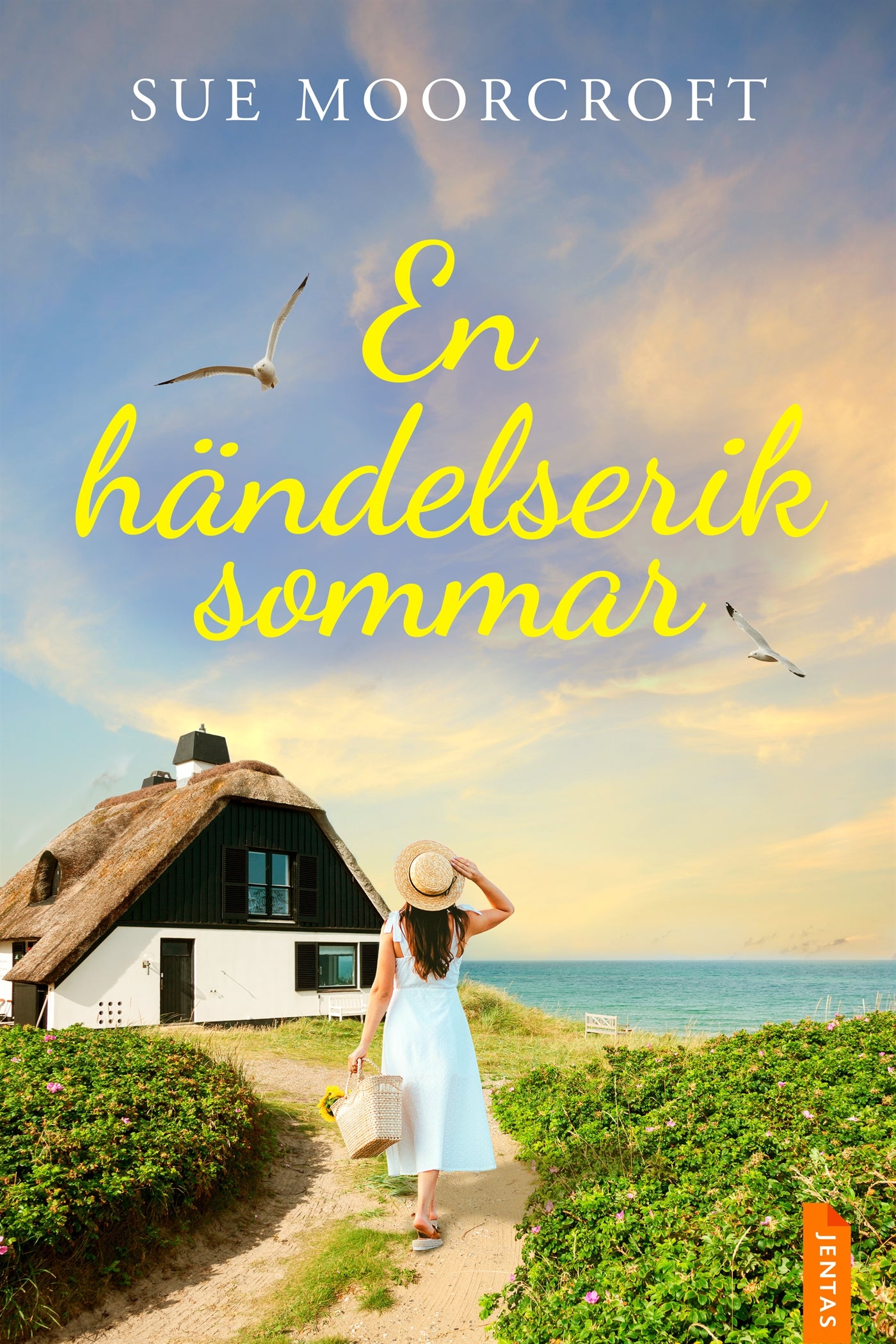 En händelserik sommar – E-bok