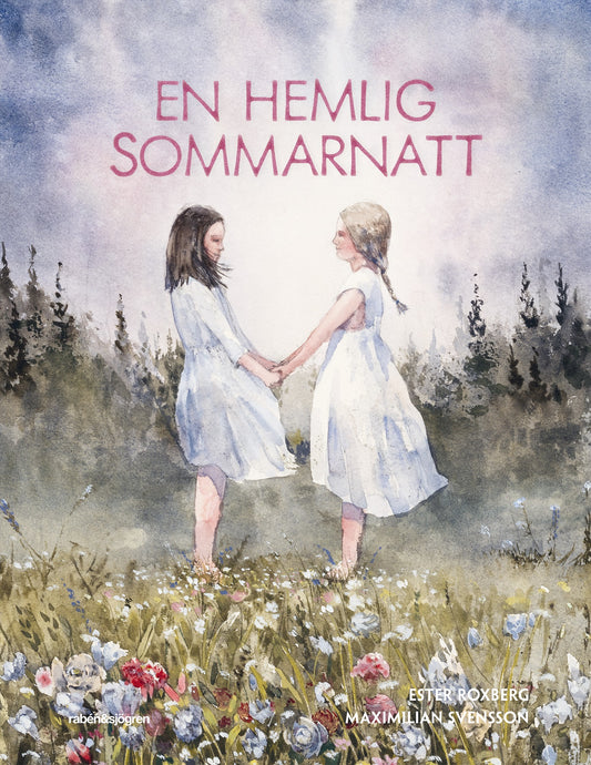 En hemlig sommarnatt – E-bok