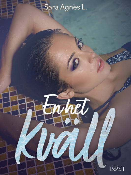 En het kväll - erotisk novell – E-bok