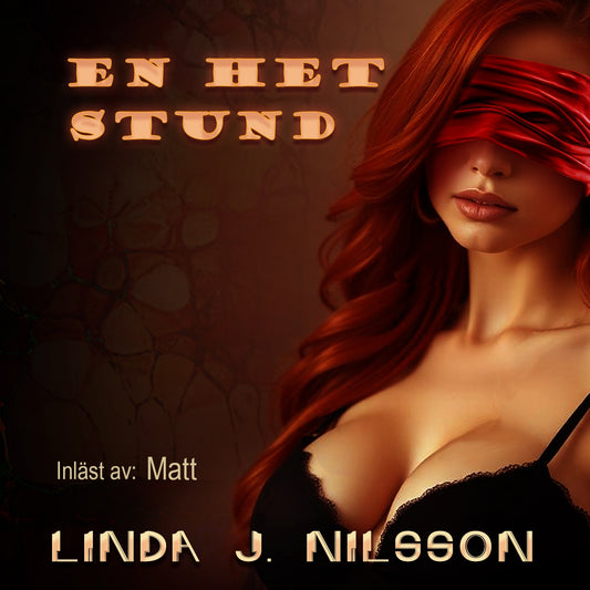 En het stund – Ljudbok