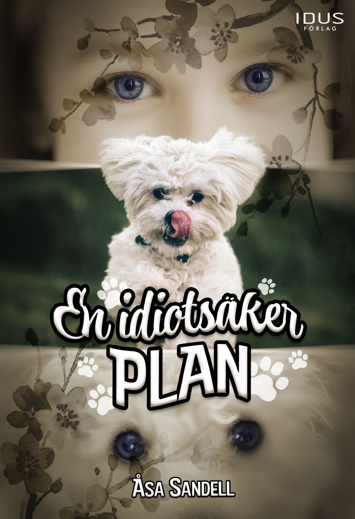 En idiotsäker plan – E-bok