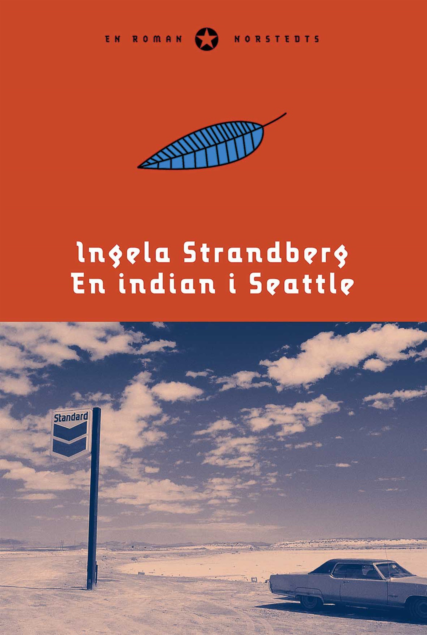 En indian i Seattle – E-bok