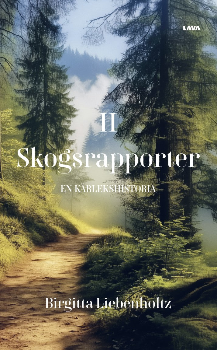 En kärlekshistoria – E-bok