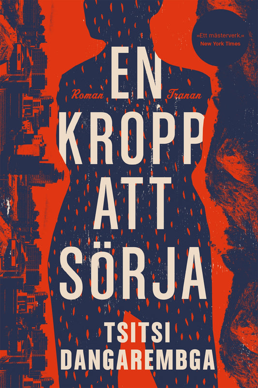 En kropp att sörja – E-bok
