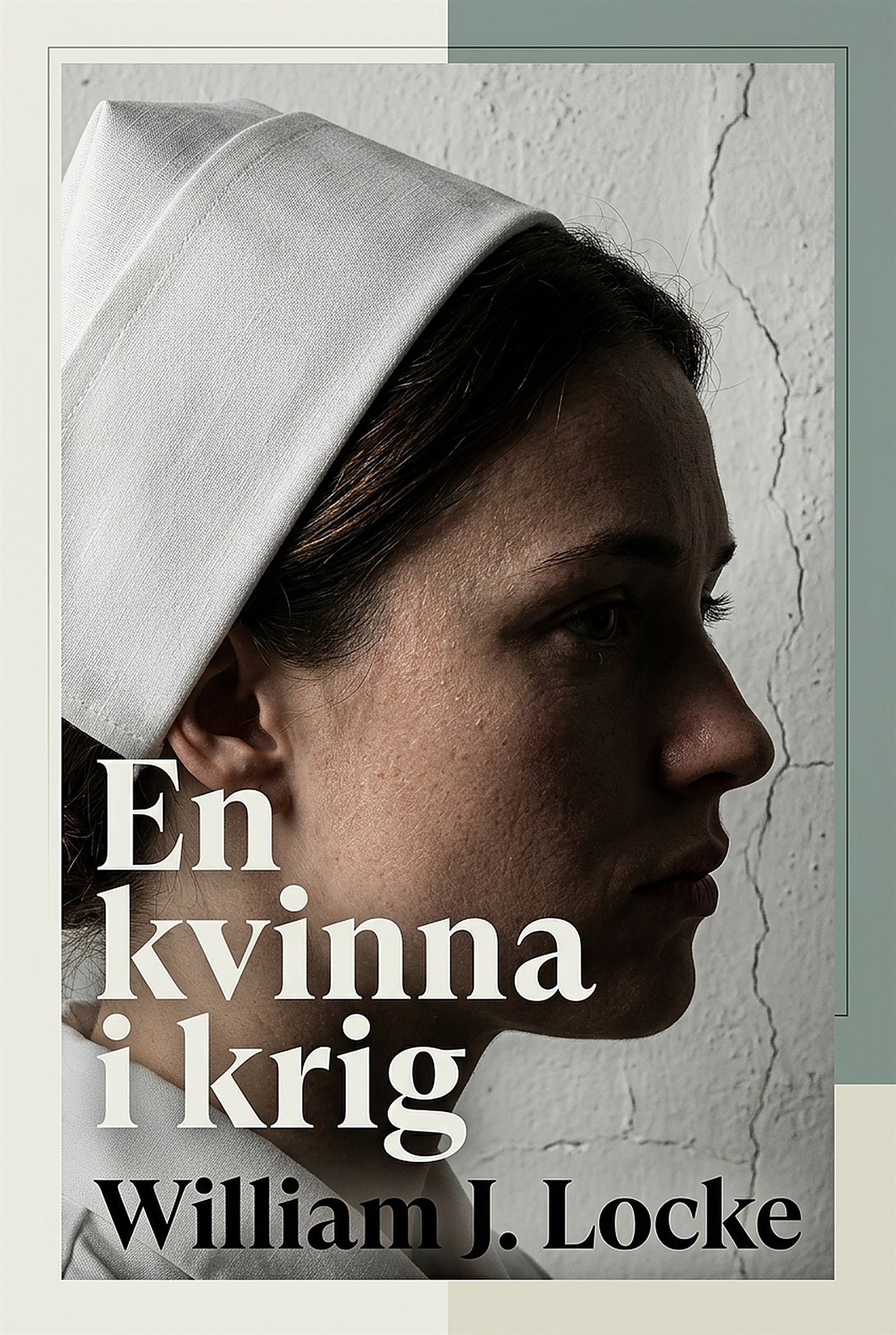 En kvinna i krig – E-bok