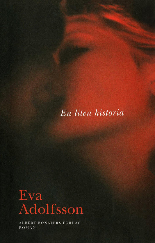 En liten historia – E-bok