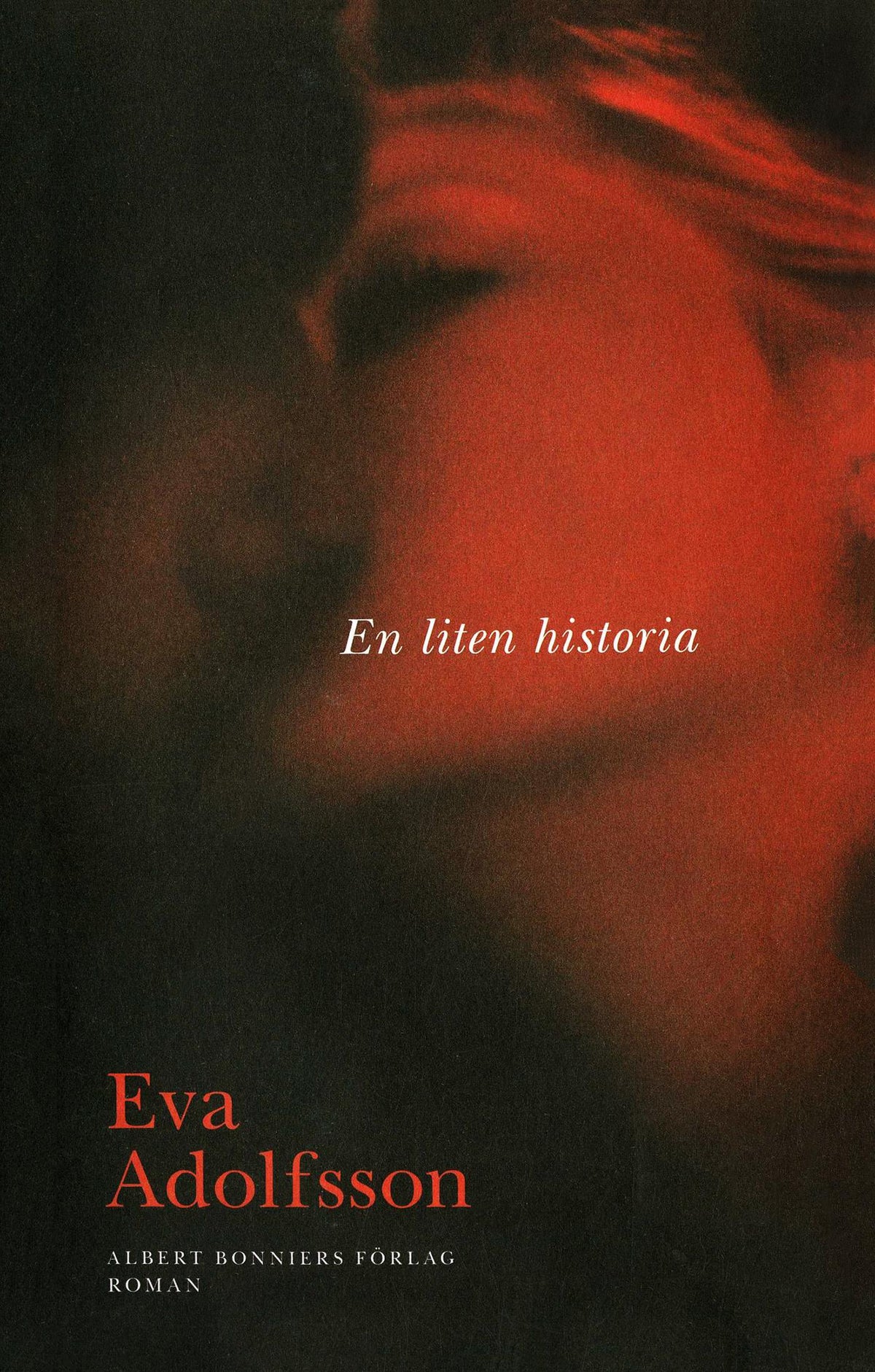 En liten historia – E-bok