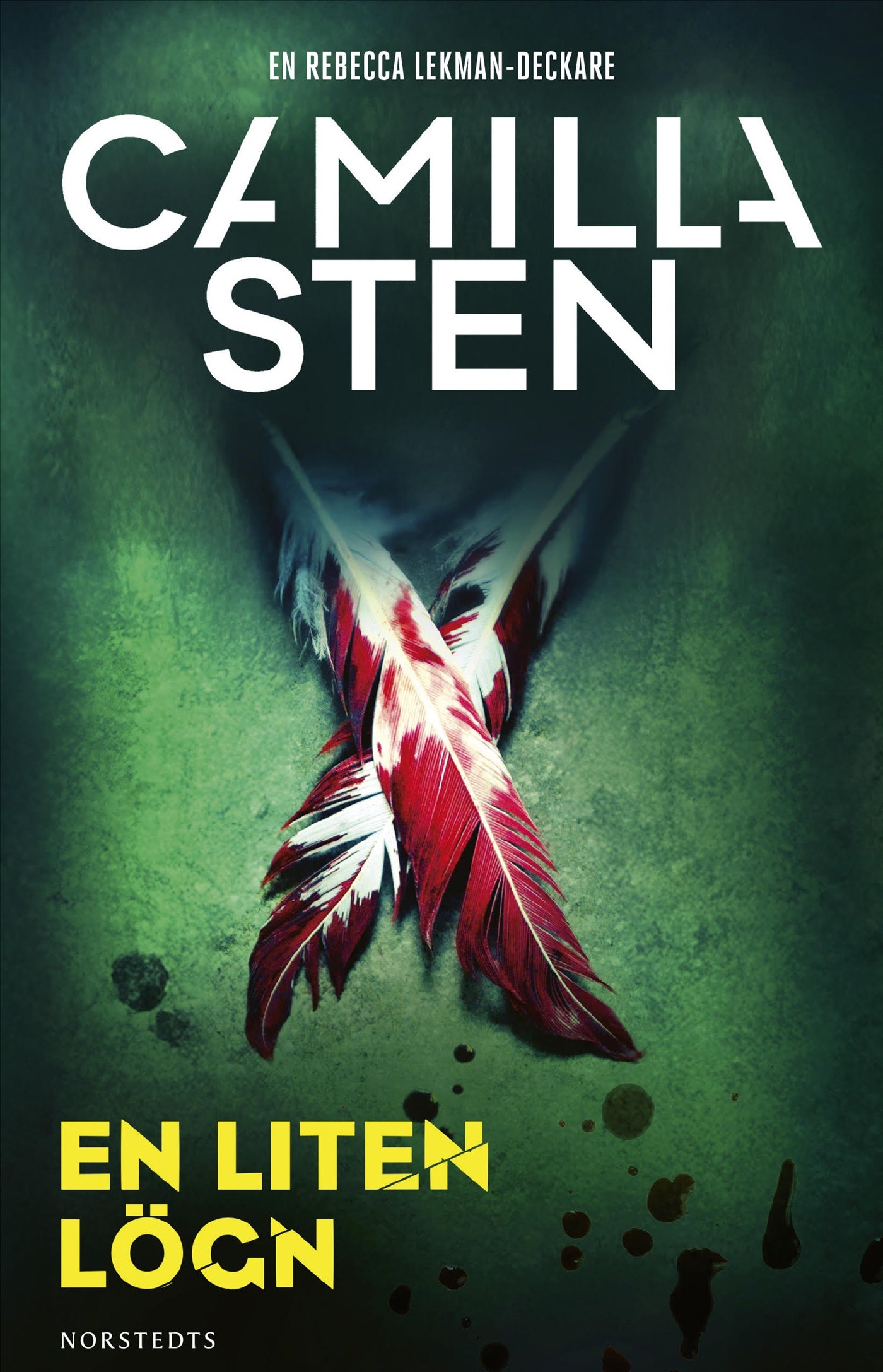 En liten lögn – E-bok