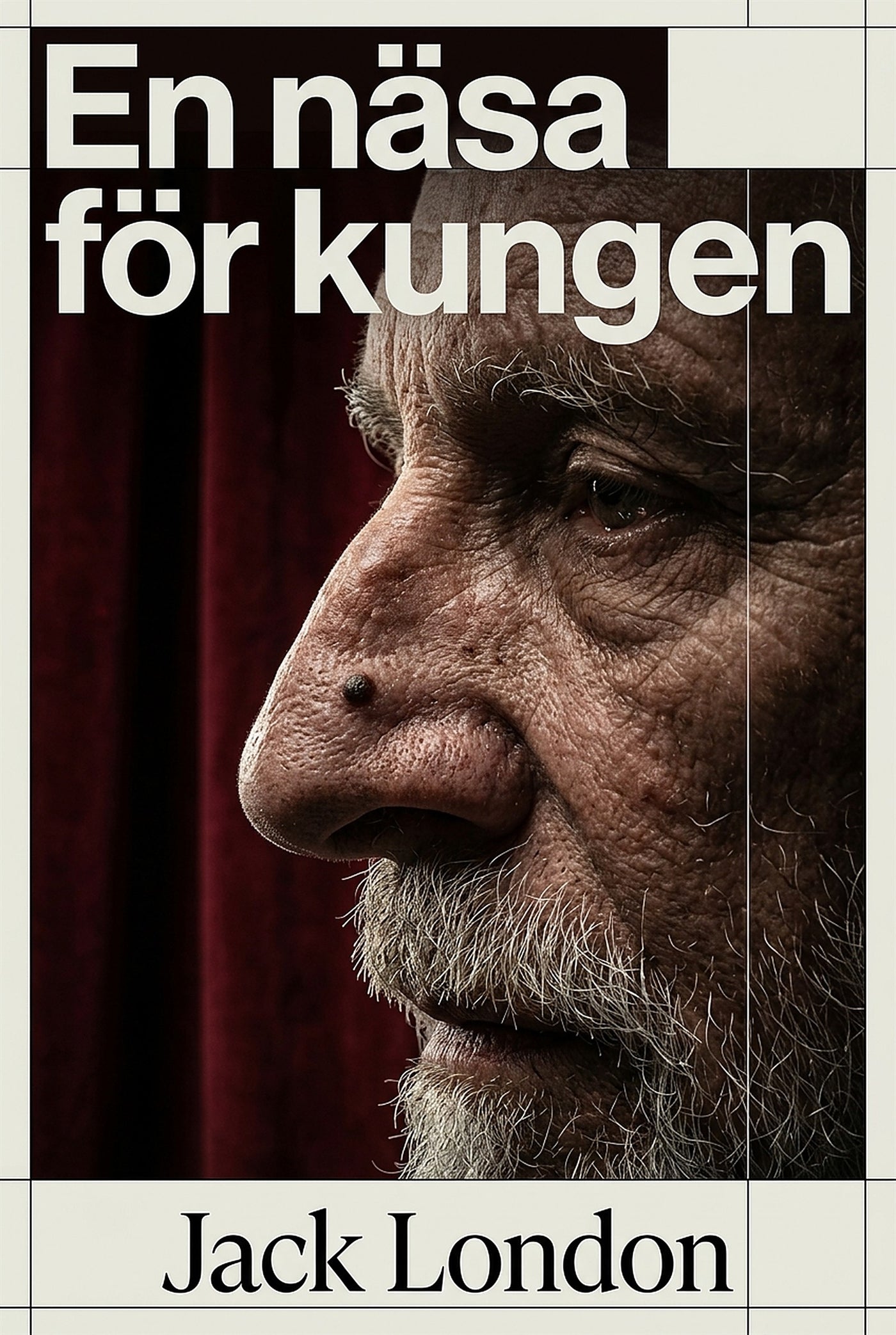 En näsa för kungen – E-bok