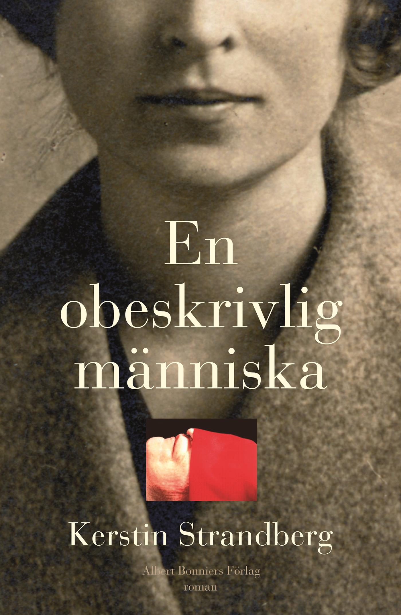 En obeskrivlig människa – E-bok