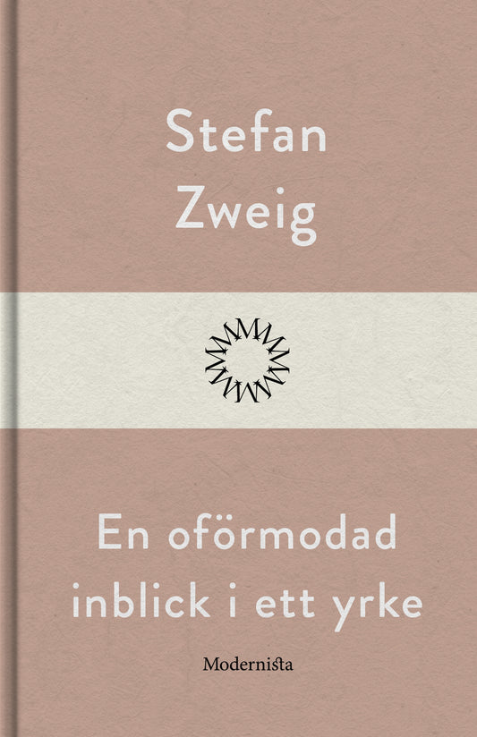 En oförmodad inblick i ett yrke – E-bok