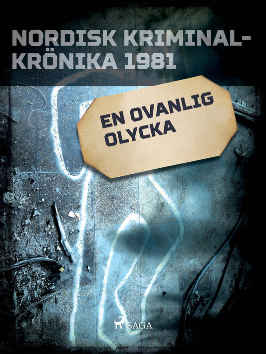 En ovanlig olycka – E-bok