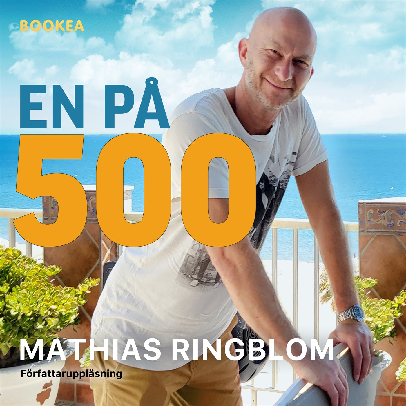 En på 500 – Ljudbok