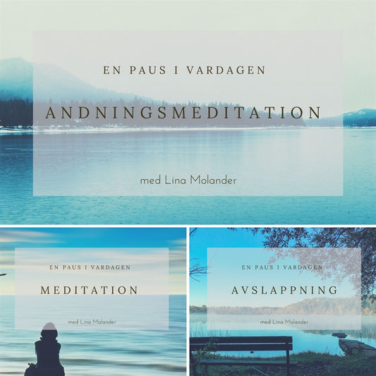 En paus i vardagen – Ljudbok