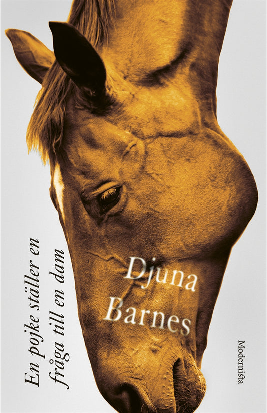 En pojke ställer en fråga till en dam – E-bok