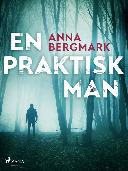 En praktisk man – E-bok