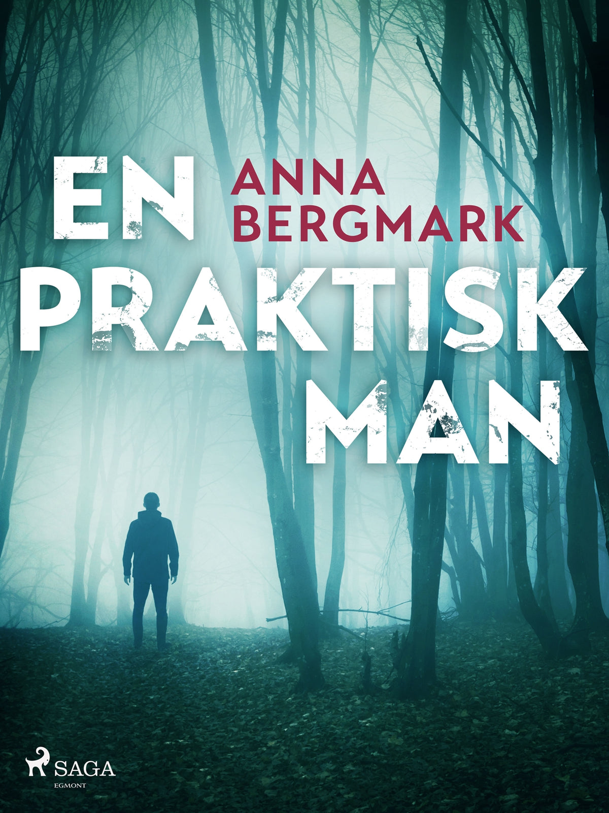 En praktisk man – E-bok