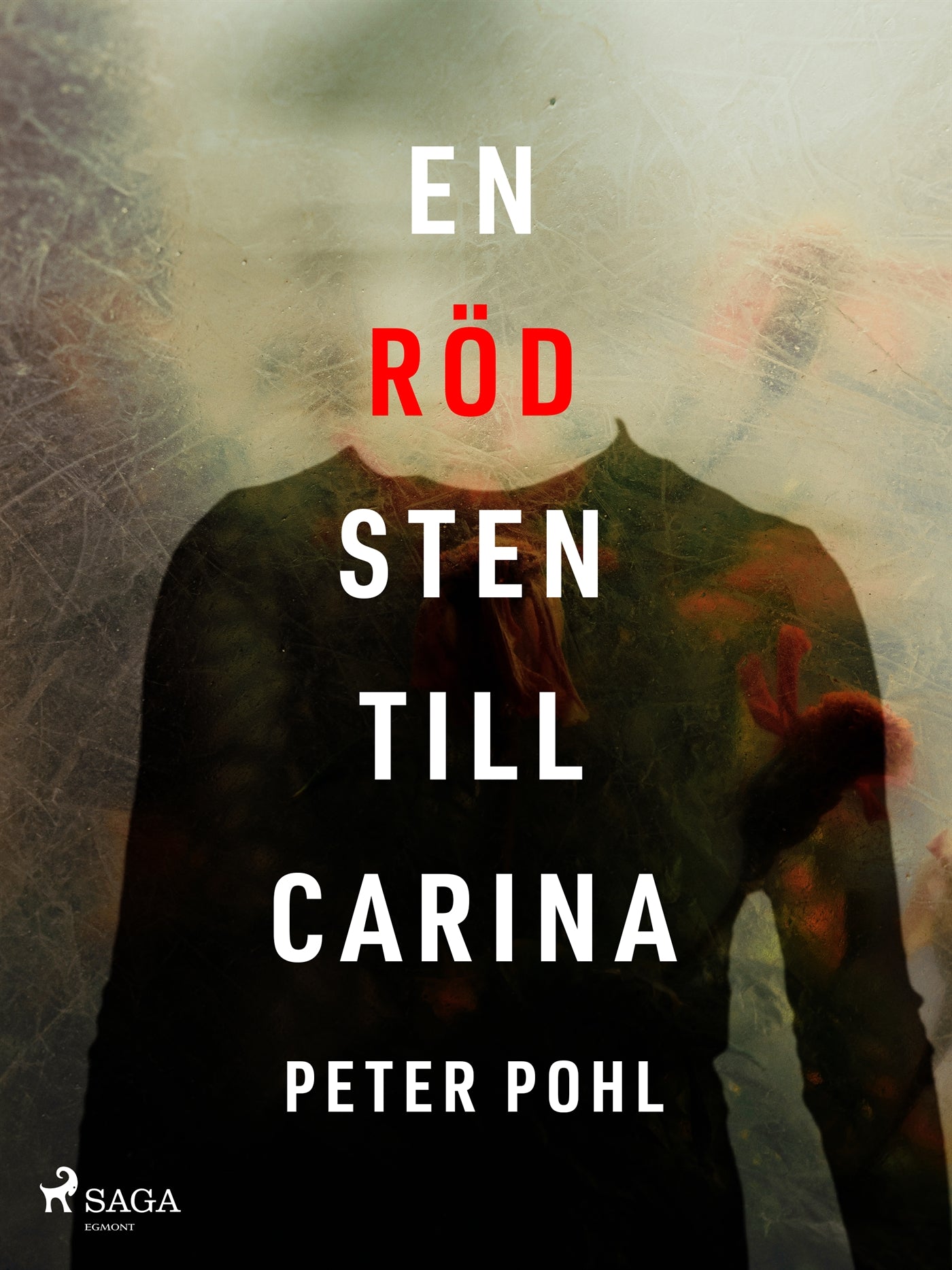 En röd sten till Carina – E-bok