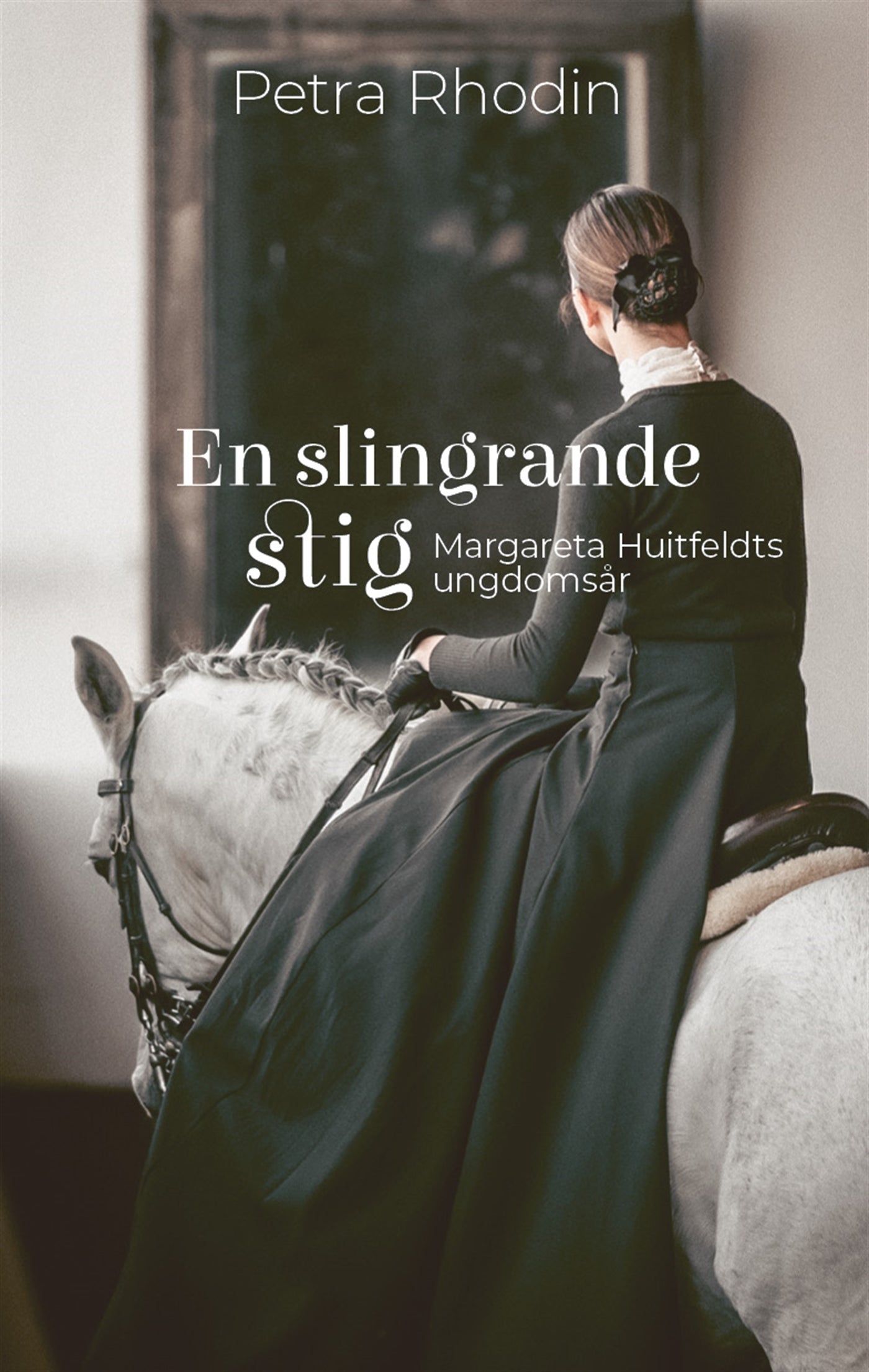 En slingrande stig – E-bok