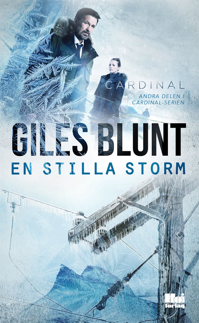 En stilla storm – E-bok