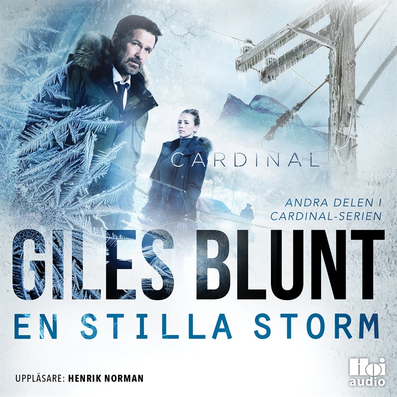 En stilla storm – Ljudbok