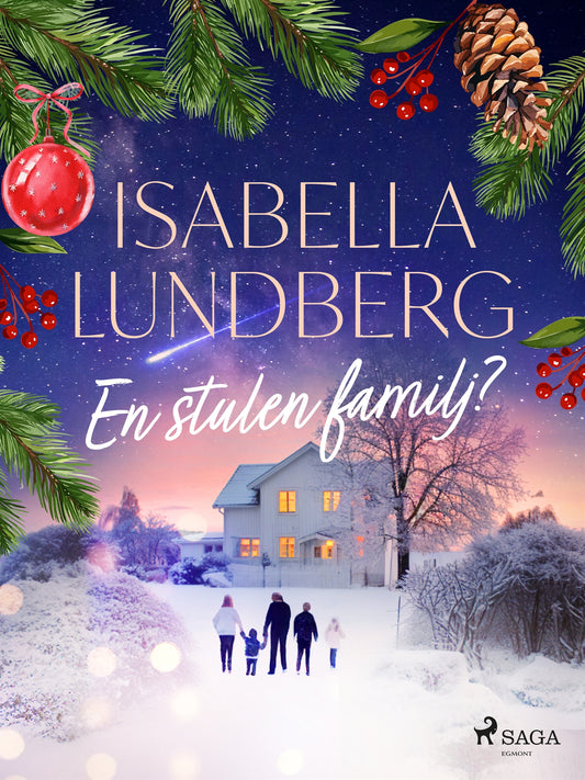 En stulen familj? – E-bok
