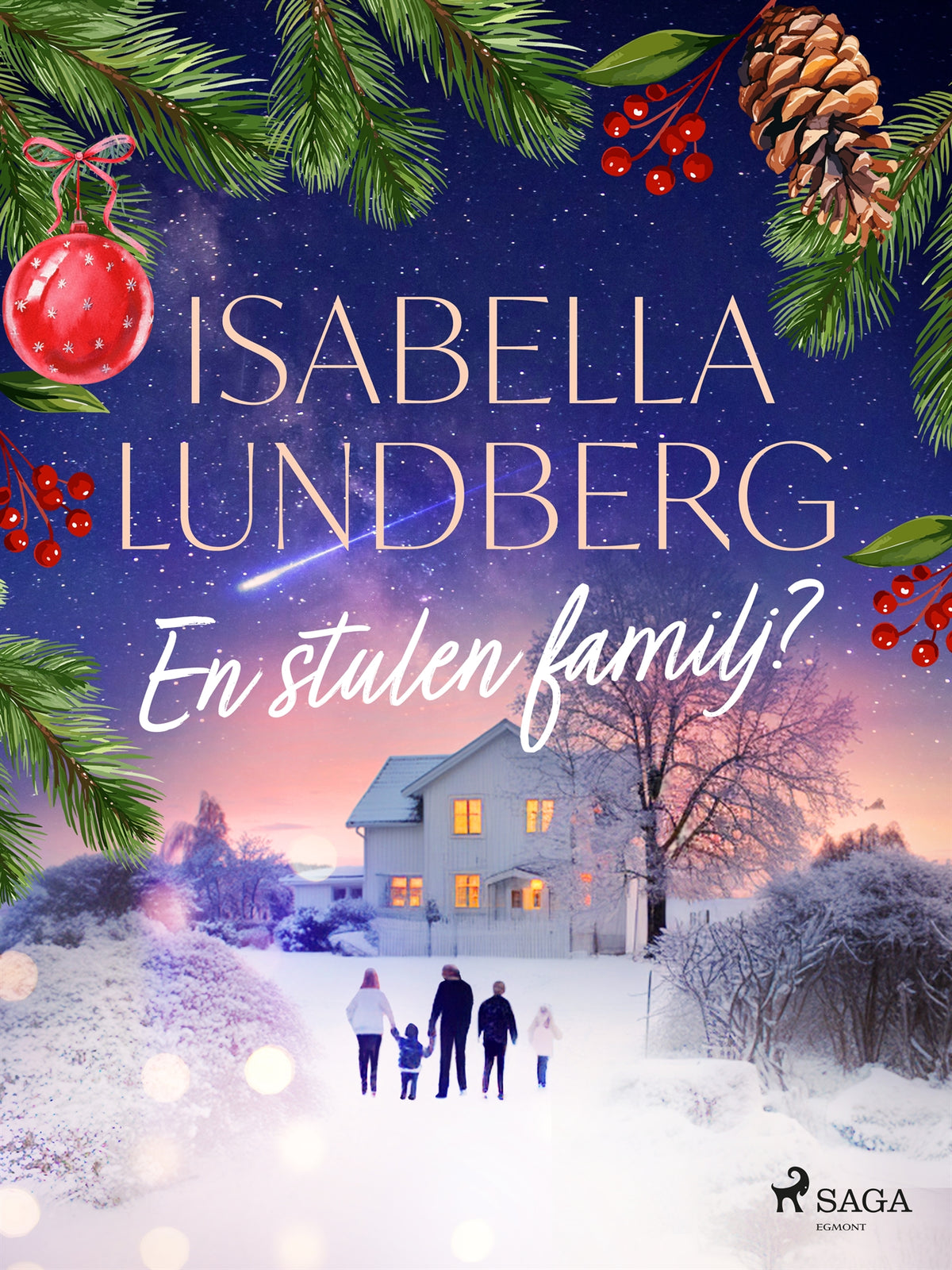 En stulen familj? – E-bok
