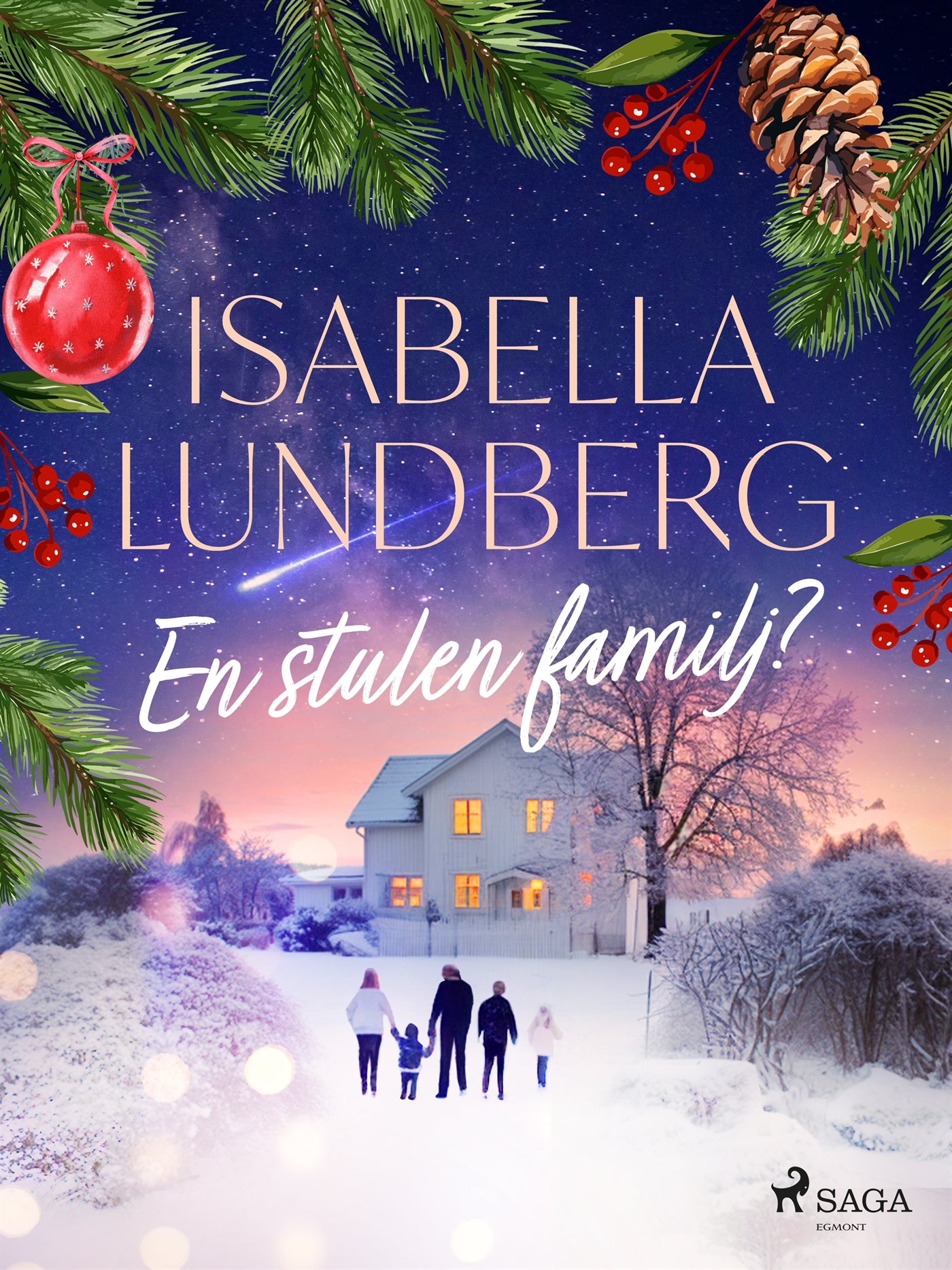 En stulen familj? – E-bok