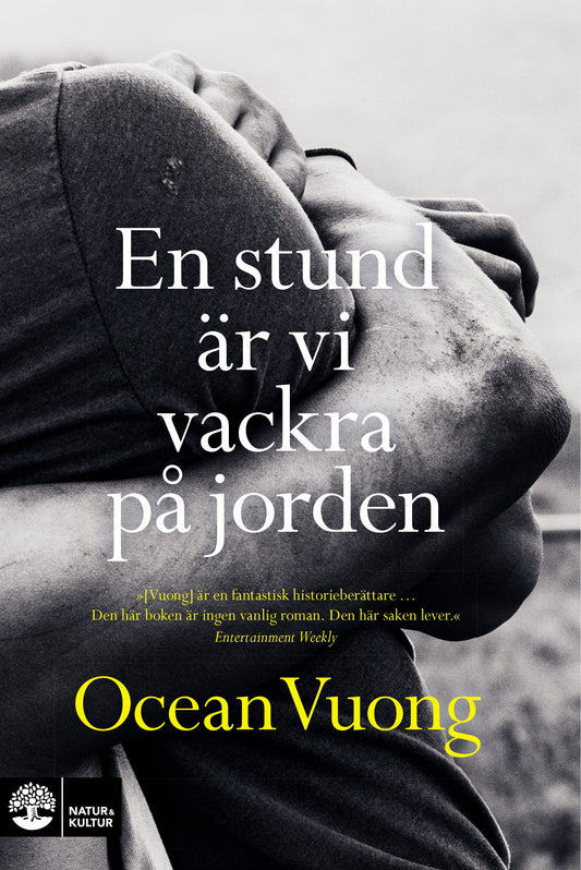 En stund är vi vackra på jorden – E-bok