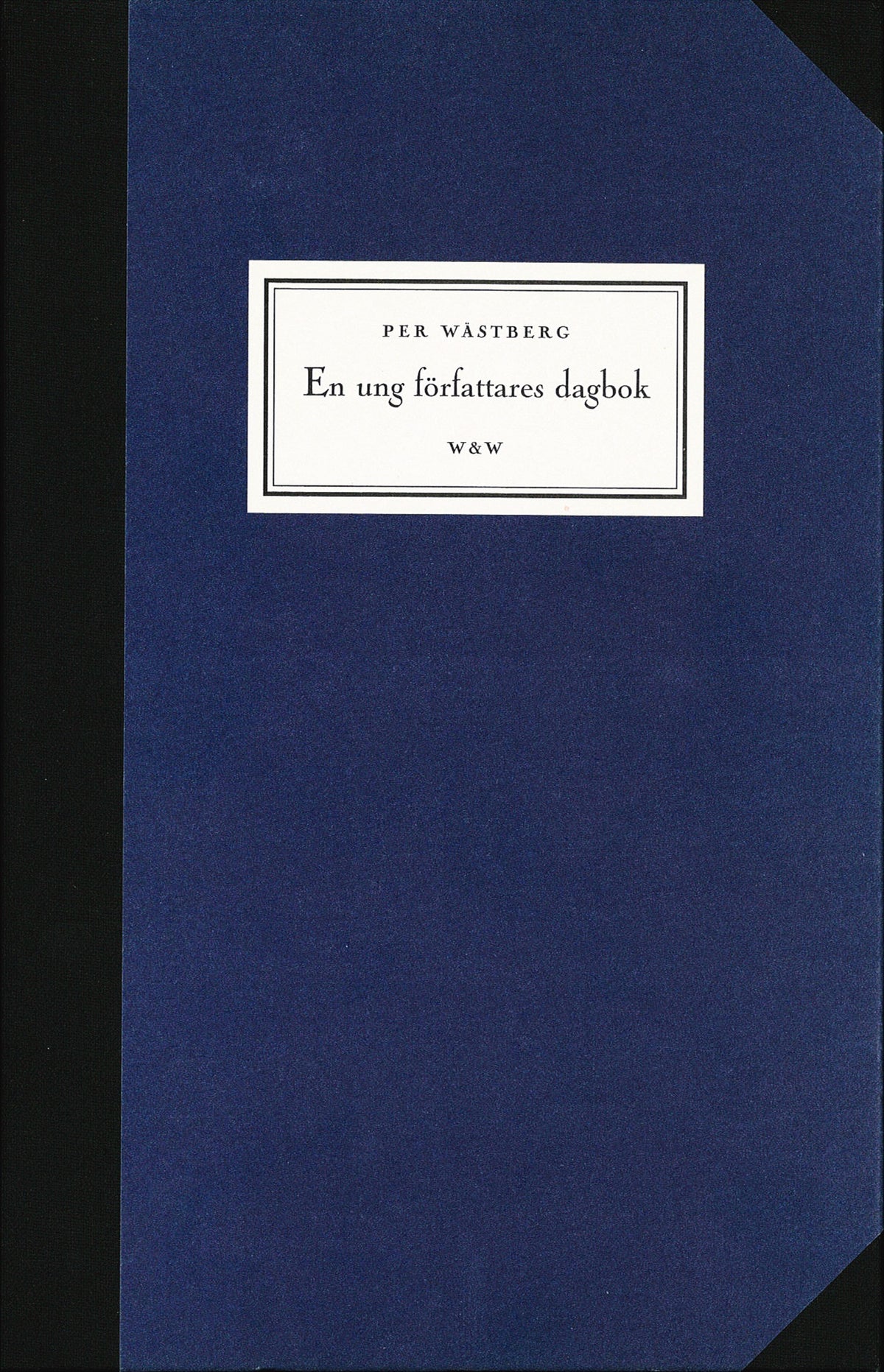 En ung författares dagbok – E-bok