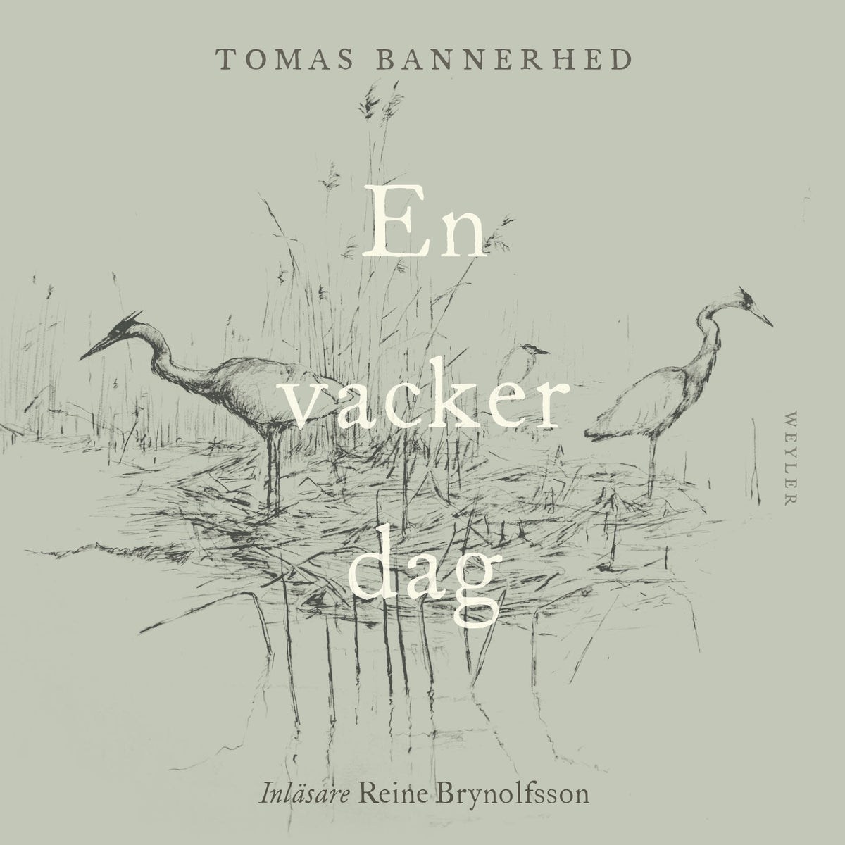 En vacker dag – Ljudbok