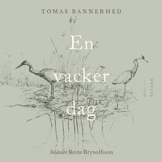 En vacker dag – Ljudbok