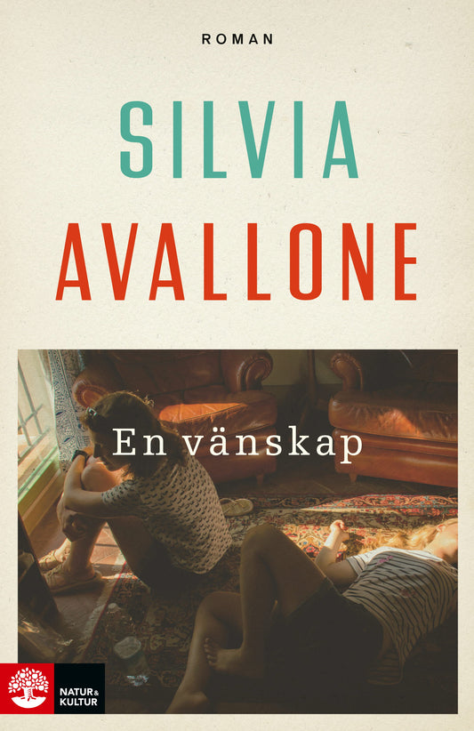 En vänskap – E-bok