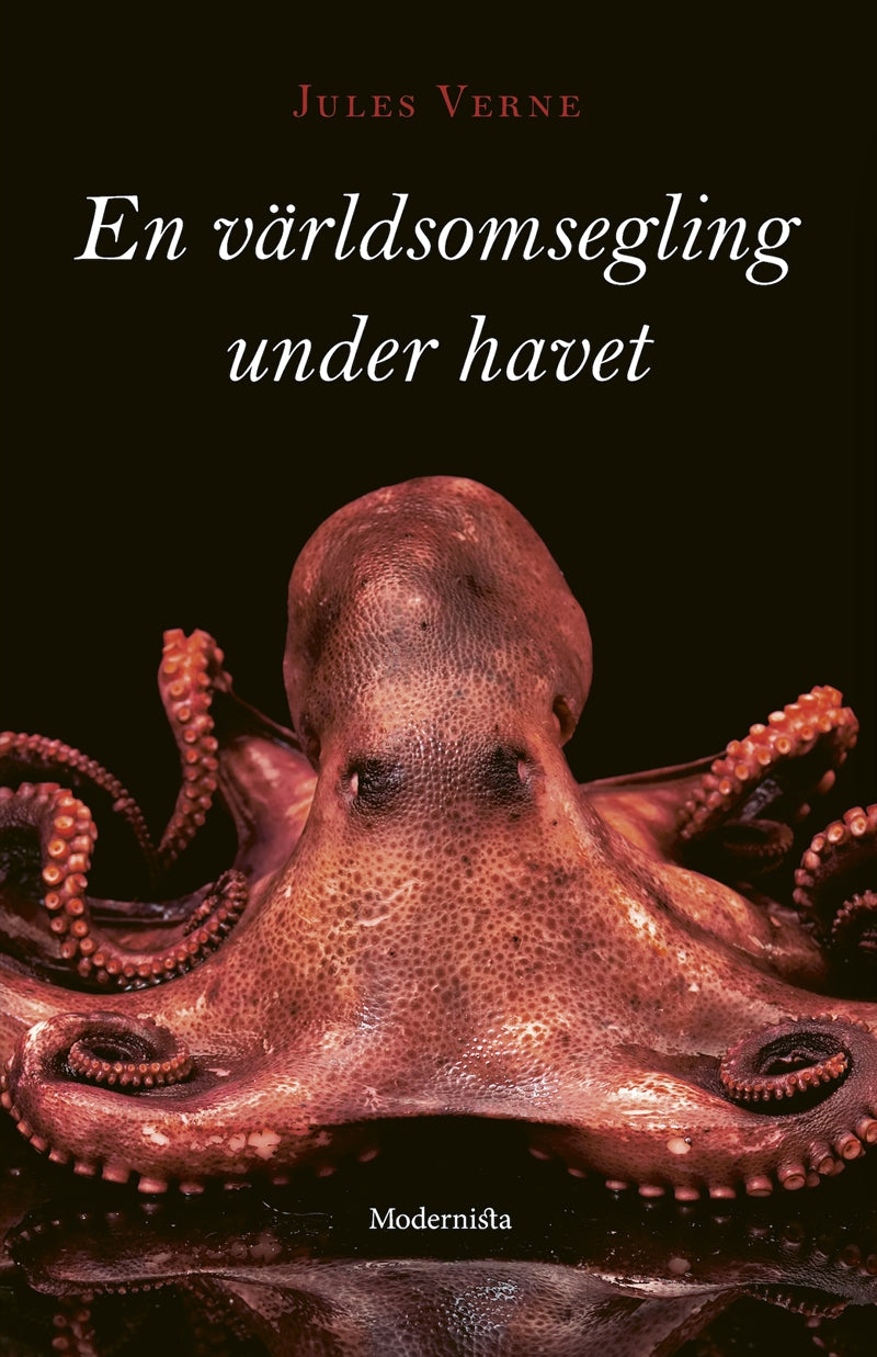 En världsomsegling under havet – E-bok
