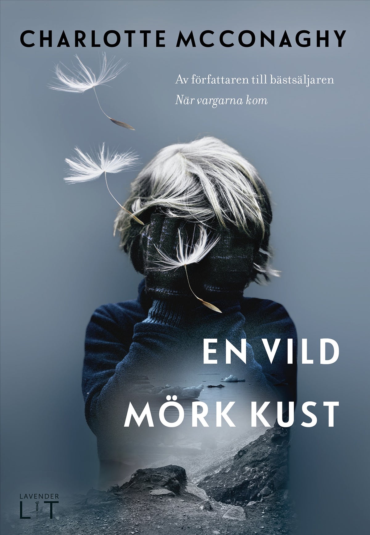 En vild mörk kust – E-bok