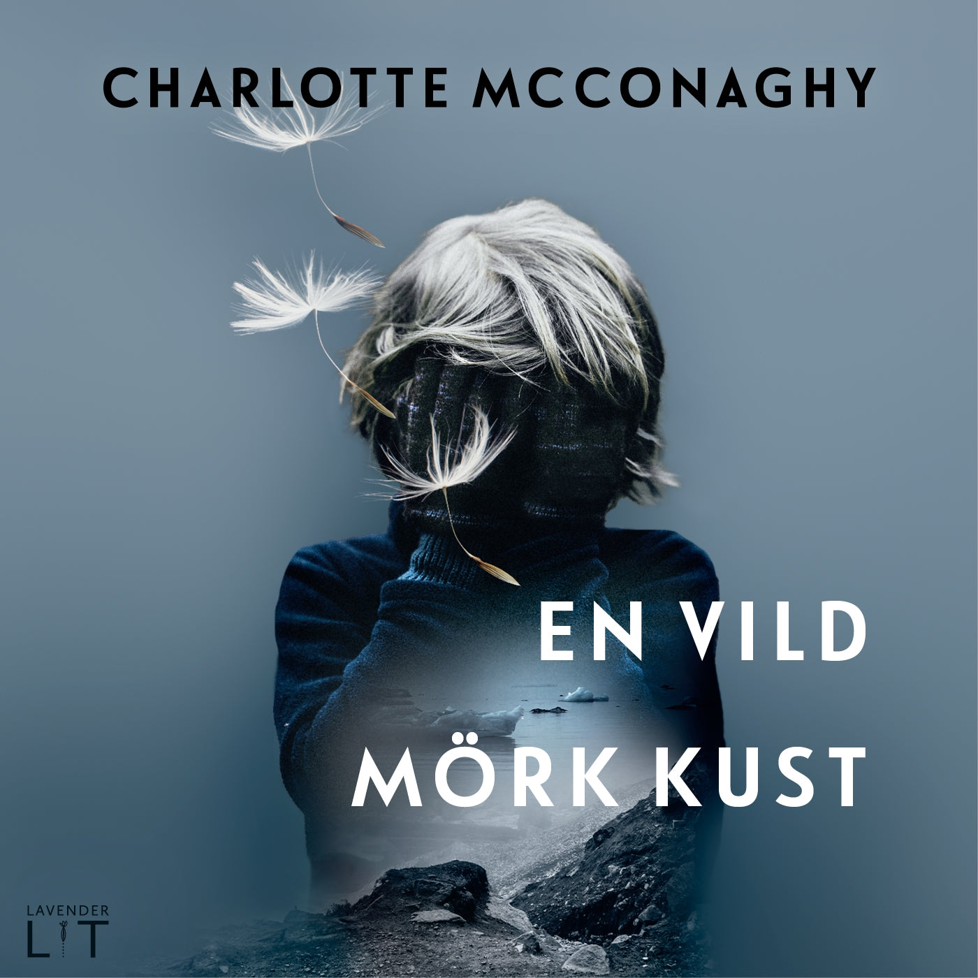 En vild mörk kust  – Ljudbok