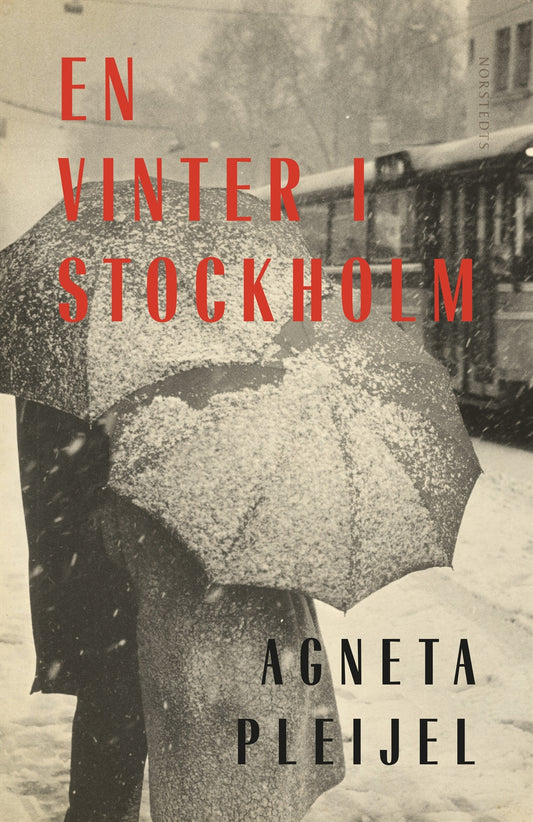 En vinter i Stockholm – E-bok