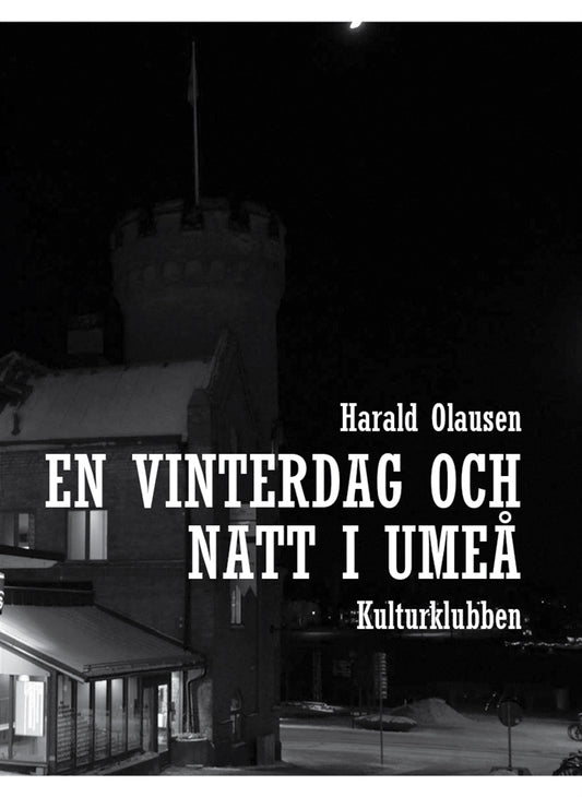 En vinterdag och  natt i umeå – E-bok