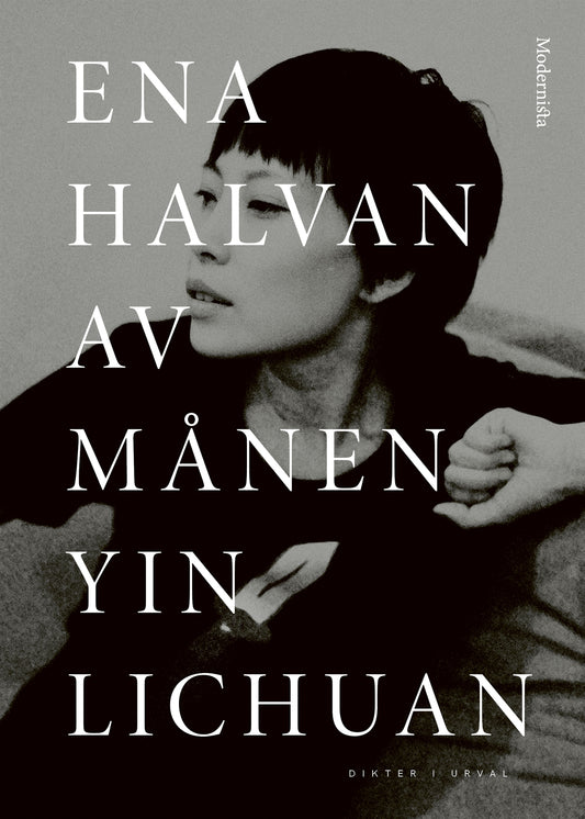 Ena halvan av månen – E-bok