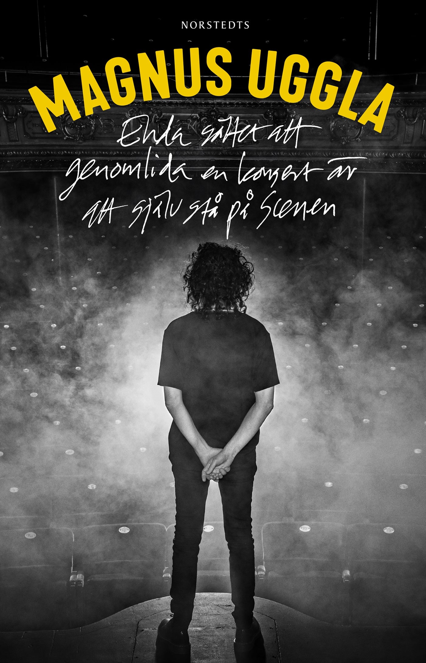 Enda sättet att genomlida en konsert är att själv stå på scenen – E-bok