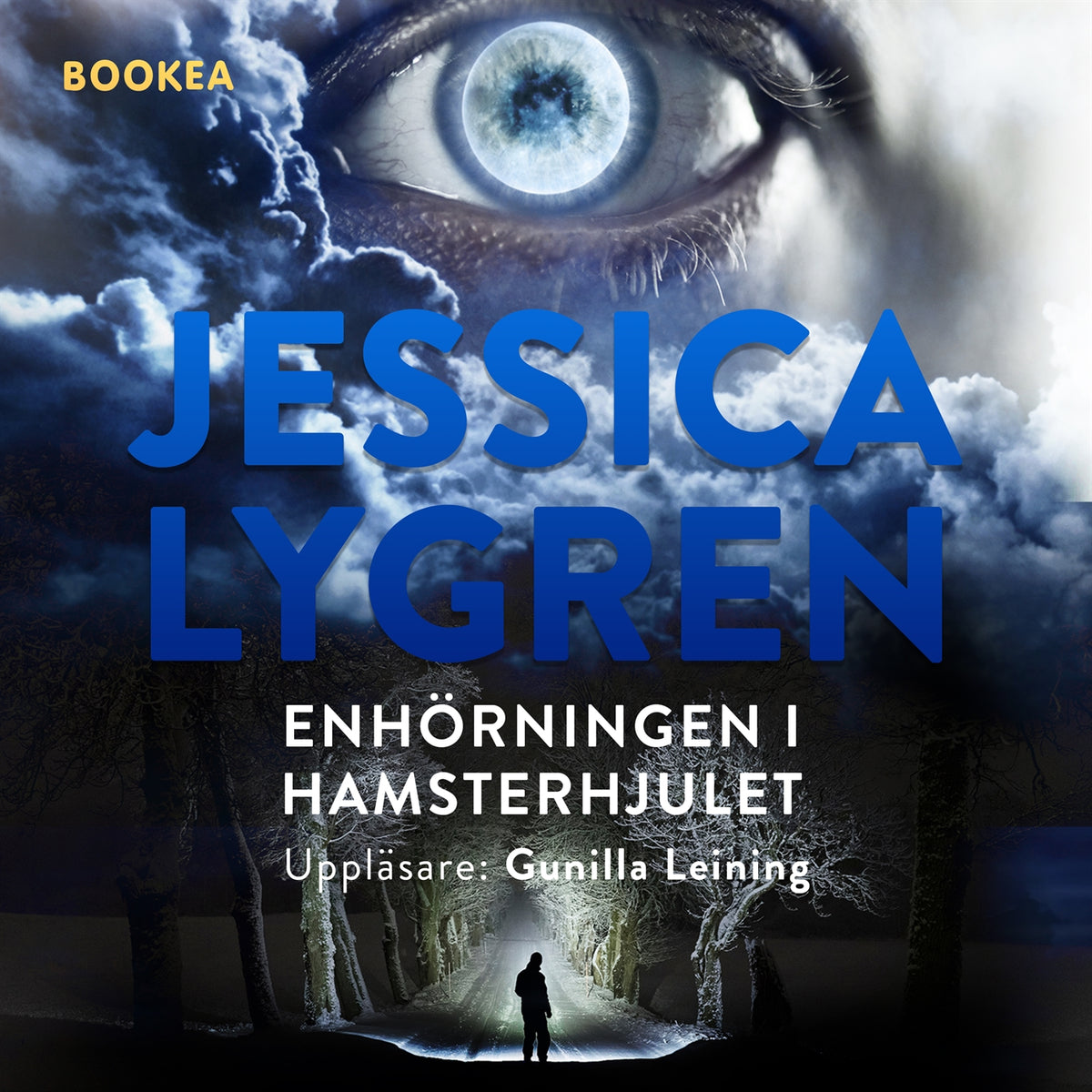 Enhörningen i hamsterhjulet – Ljudbok