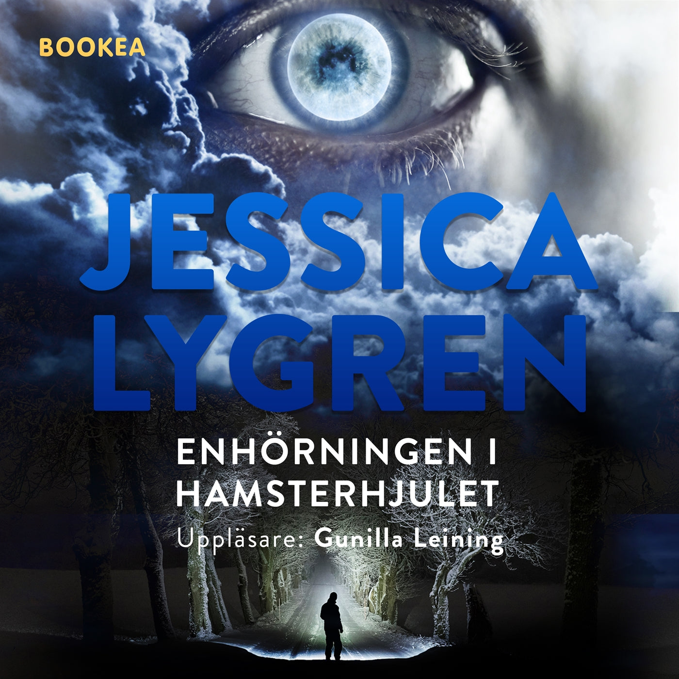 Enhörningen i hamsterhjulet – Ljudbok