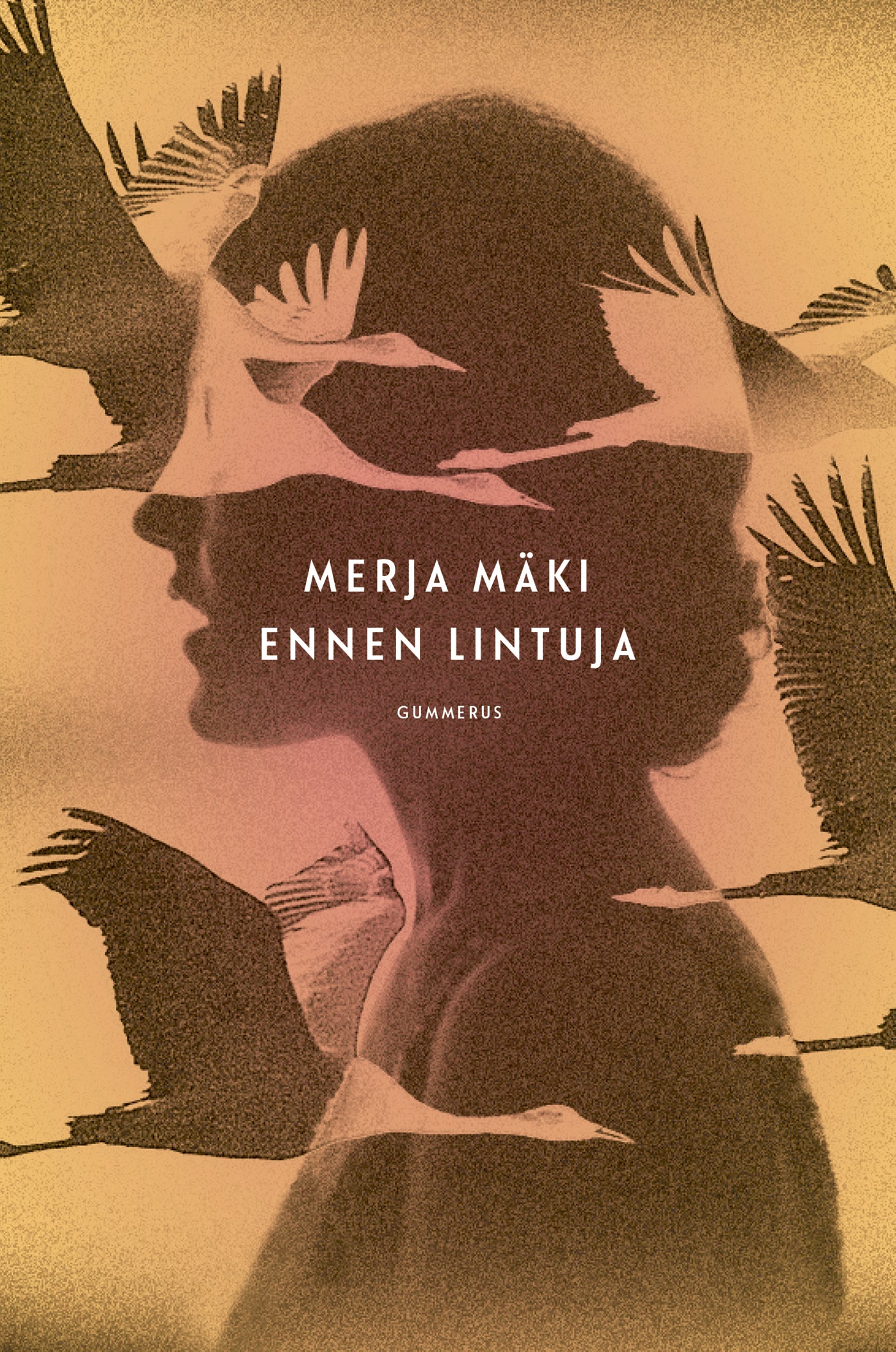 Ennen lintuja – E-bok