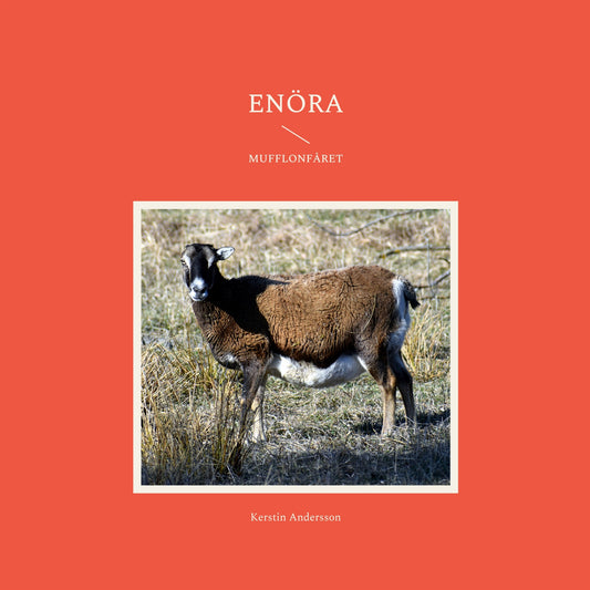 Enöra: I fårhagen – E-bok